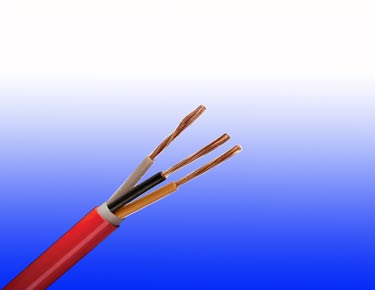 PAS BS 5308 CR1 C1 fireproof cables